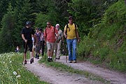 Auch per Nordic Walking lassen sich die Wege erschliessen (Foto: Marikka-Laila Maisel)